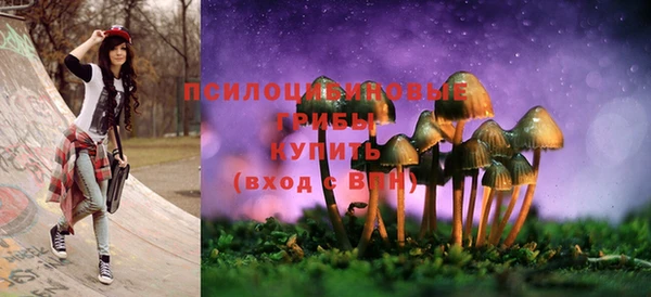 СК Пересвет