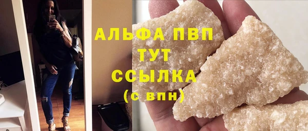 СК Пересвет