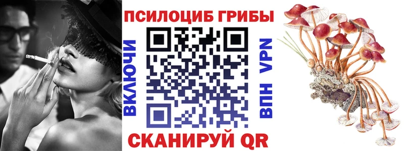 Псилоцибиновые грибы Cubensis  блэк спрут как зайти  Тырныауз 